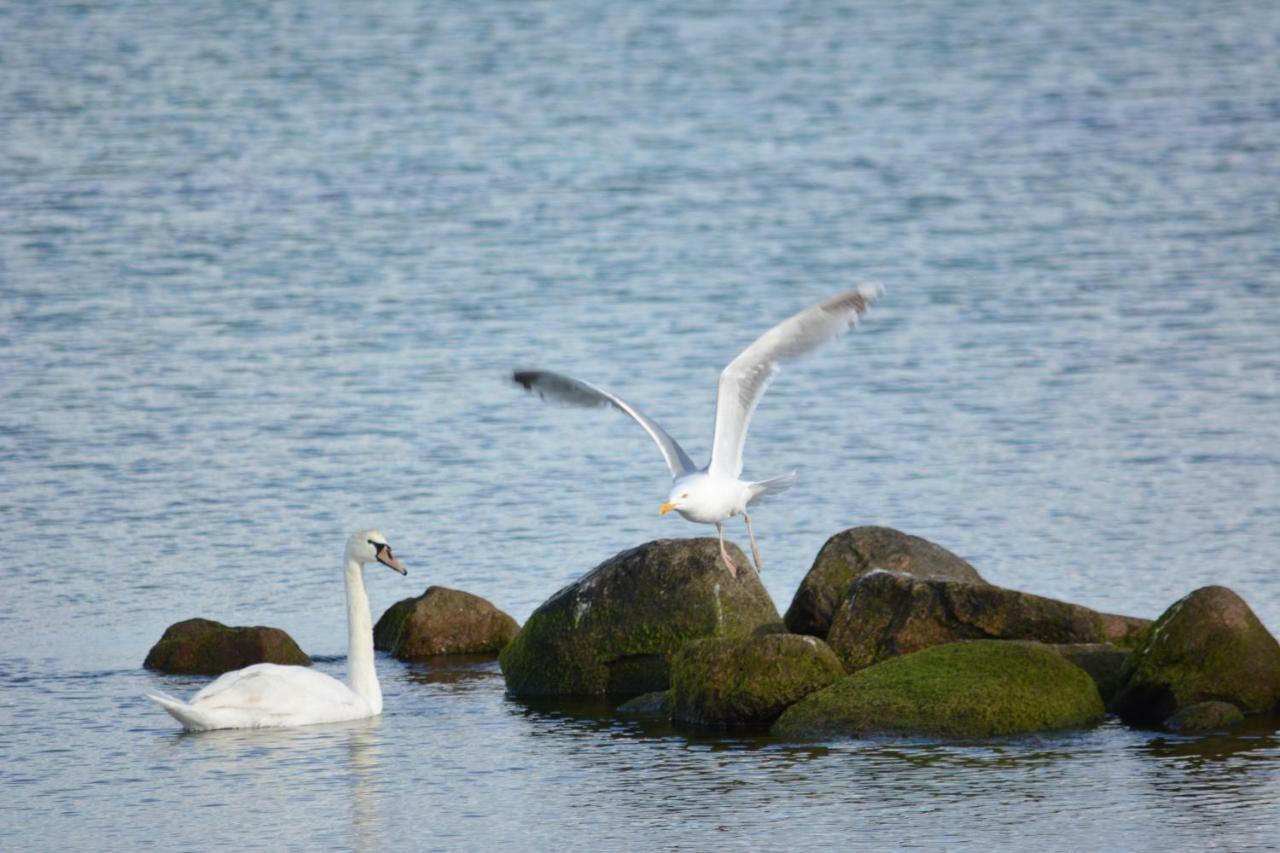 Forsthaus Wendt Leilighet Timmendorfer Strand Eksteriør bilde